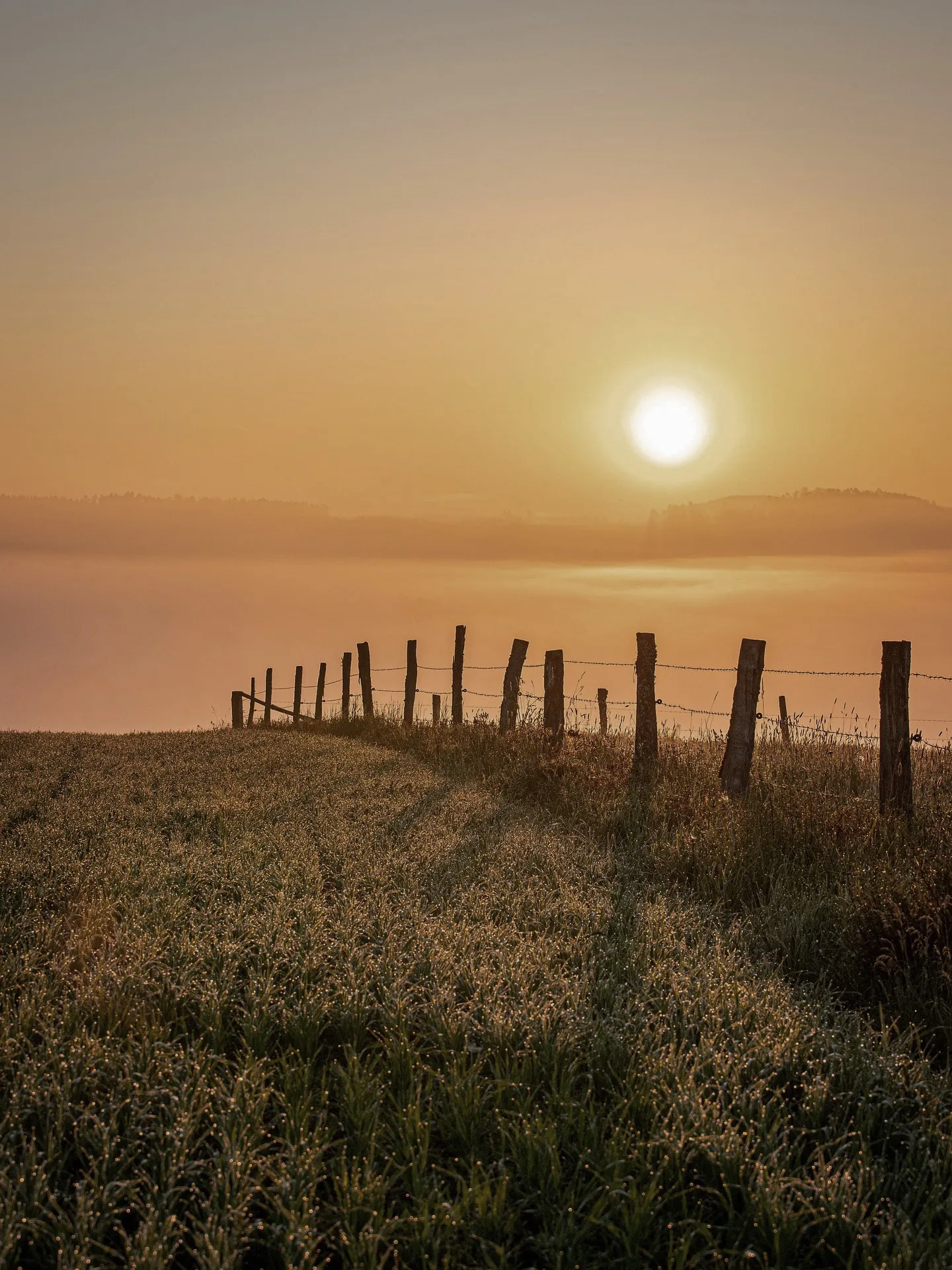 神奈川県の市街化調整区域の買収専門業者