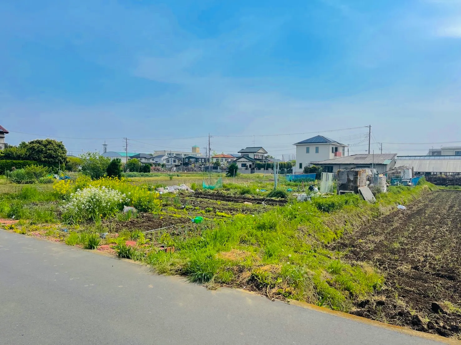 市街化調整区域 農地 畑