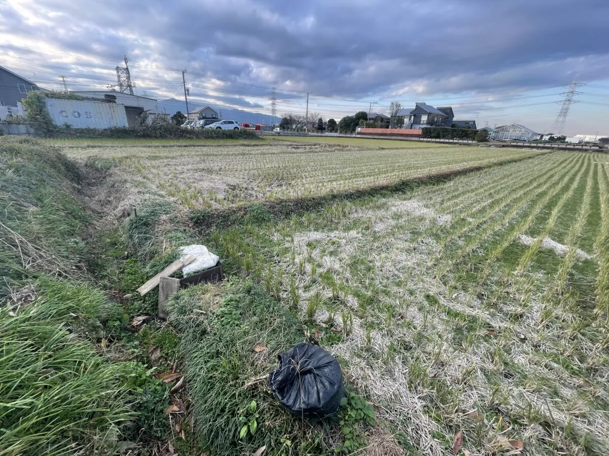 市街化調整区域 田（田んぼ）