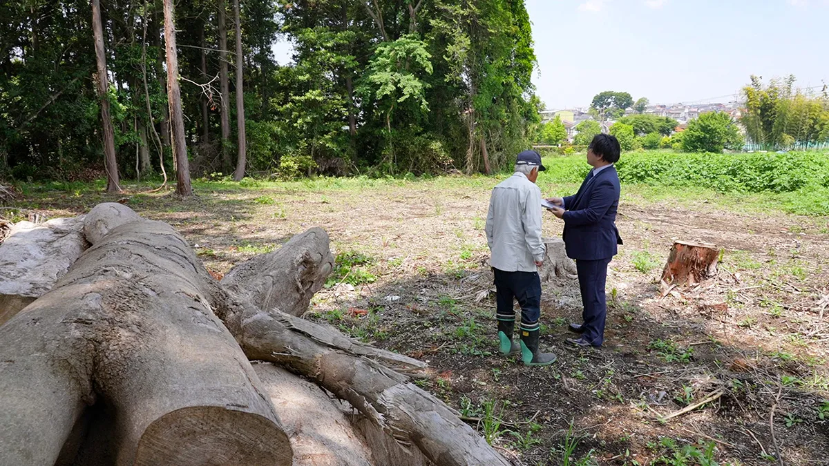市街化調整区域 山林