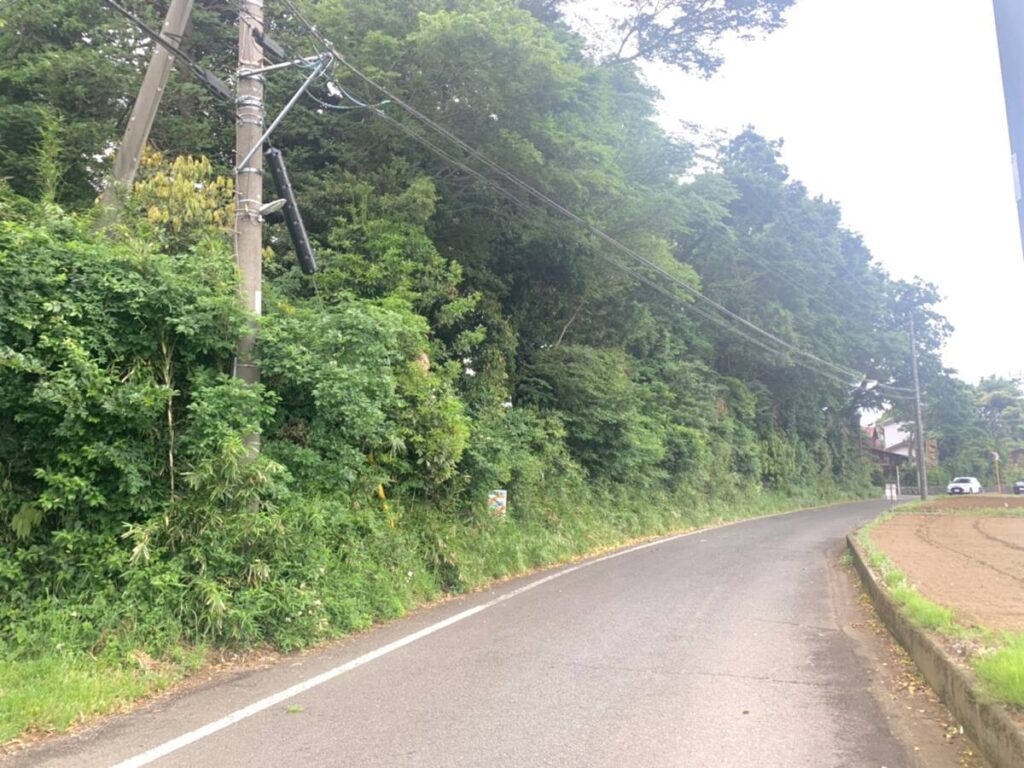 藤沢市 山林 1635㎡