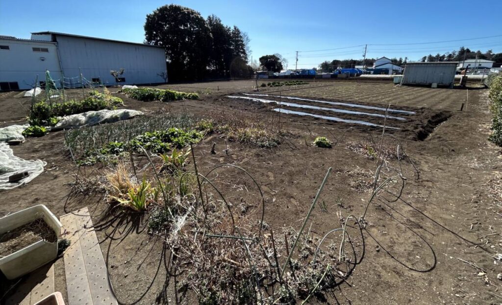 綾瀬市 畑 593㎡