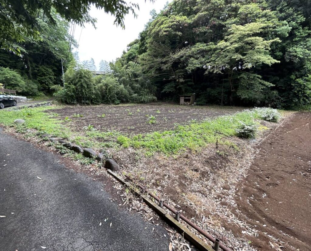 茅ヶ崎市 畑 980㎡