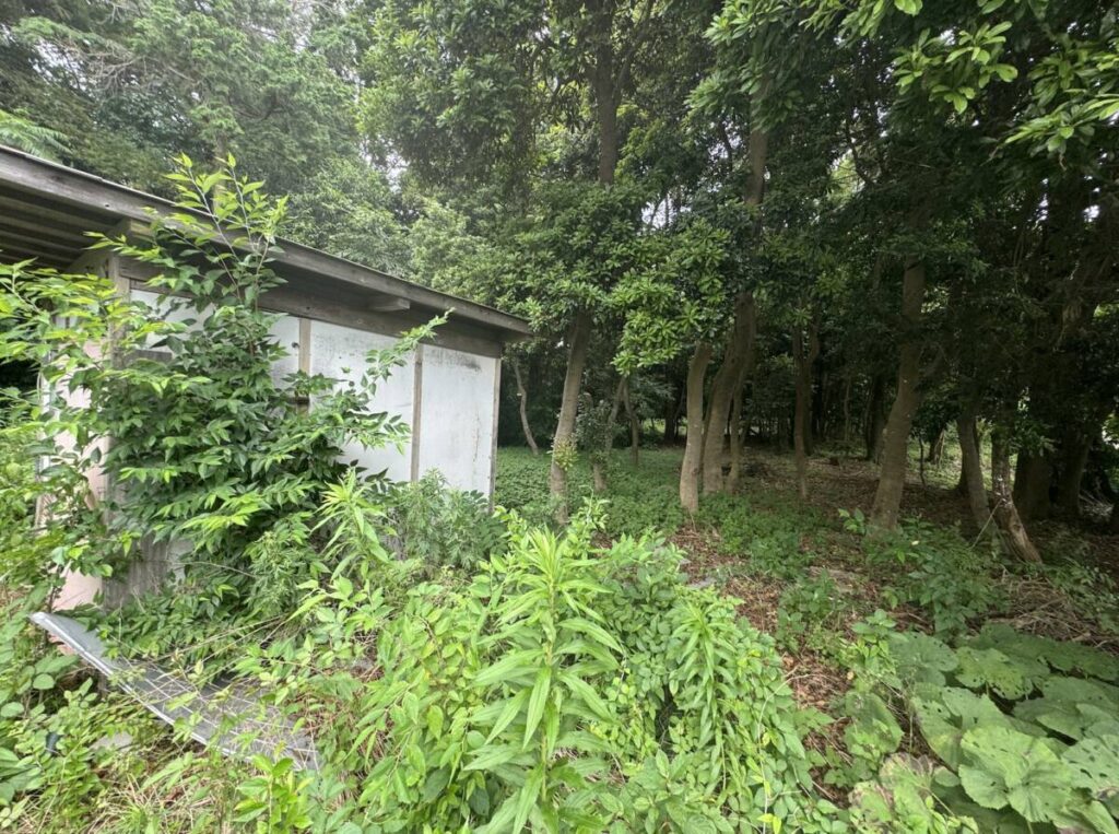 大和市 山林 142㎡