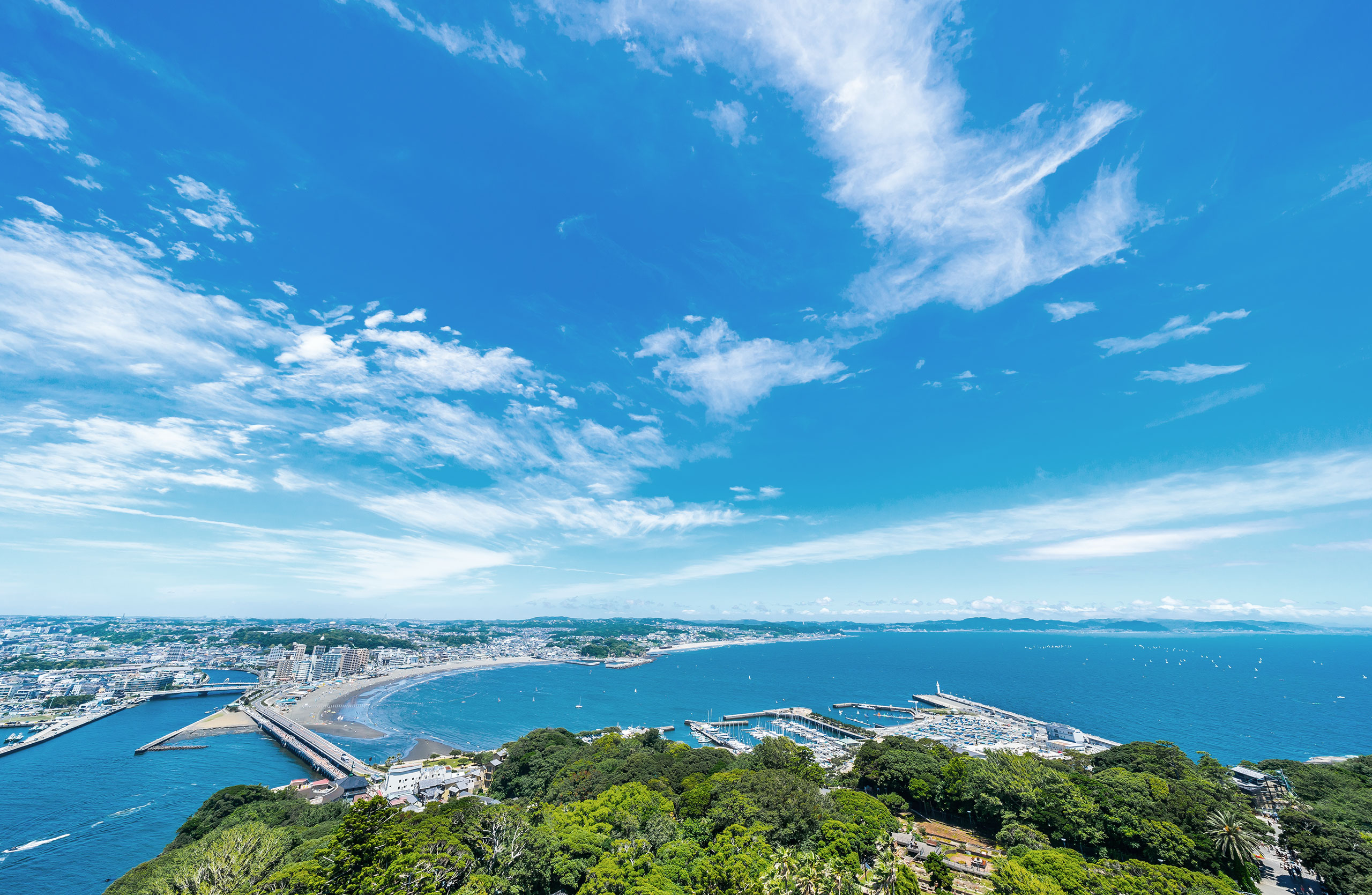 湘南（市街化調整区域の土地買取エリア）