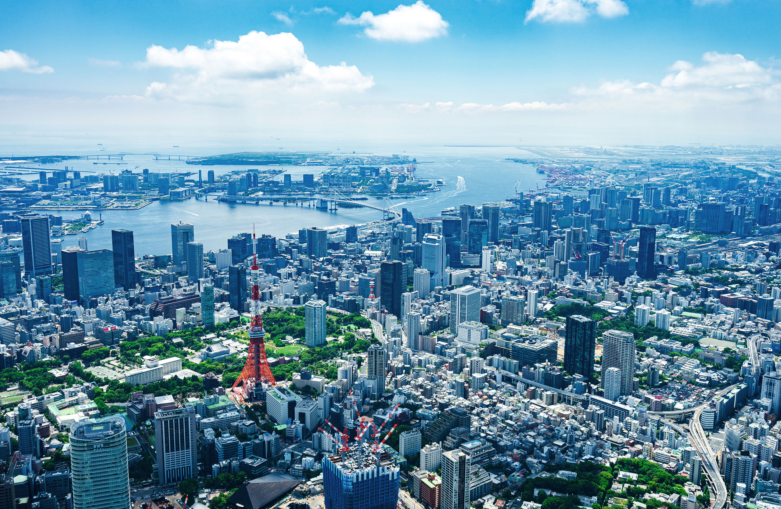 東京（市街化調整区域の土地買取エリア）