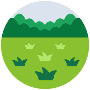 田（市街化調整区域）