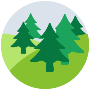 山林（市街化調整区域）