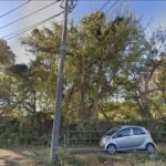 海老名市 山林 672㎡