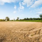 雑種地･その他特殊土地