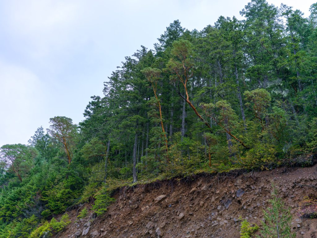 傾斜地･変形地
