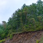 傾斜地･変形地